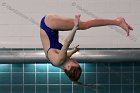 Women's Diving  Wheaton College Women’s Diving vs Mount Holyoke College. - Photo by Keith Nordstrom : Wheaton, Swimming & Diving